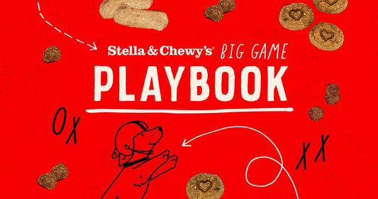 big game playbook graphic