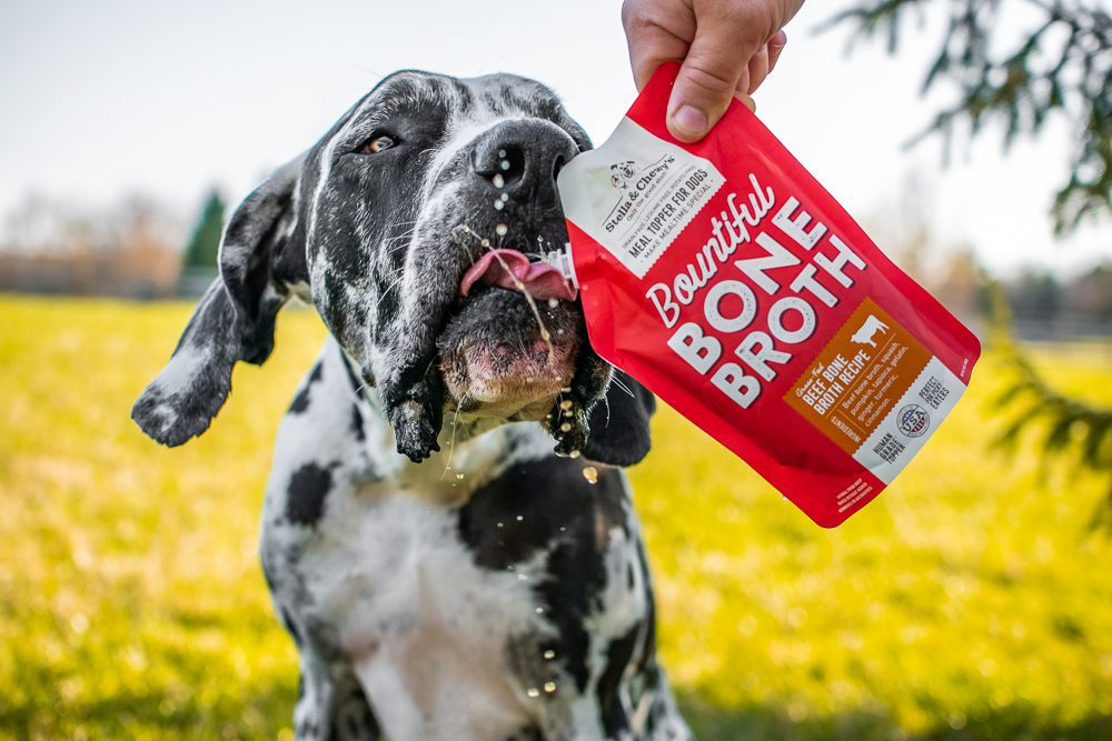 Great Dane drinking bone broth