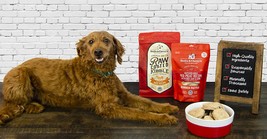 dog laying with raw coated kibble and dinner patty bags