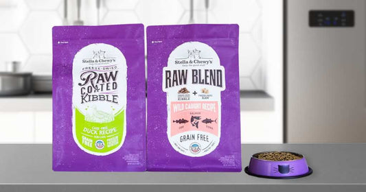 raw coated kibble and raw blend kibble for cats