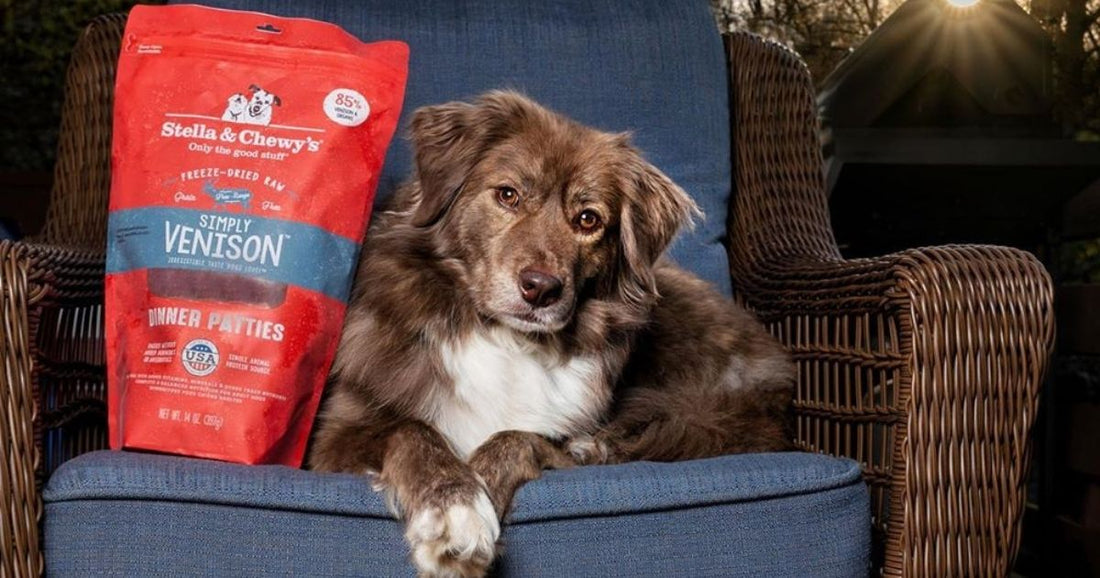 dog with bag of dinner patties