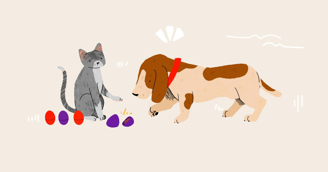 Easter Egg Hunt for Dogs