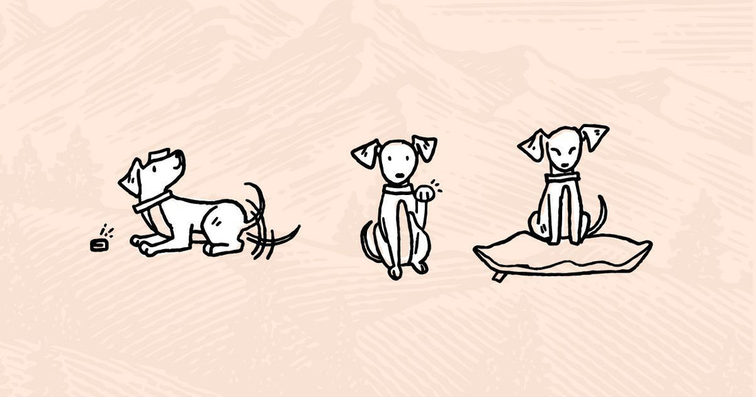 illustration of three dogs