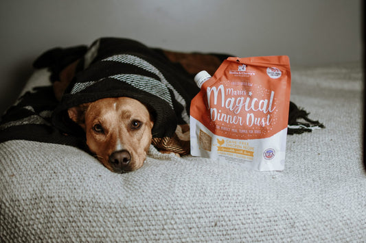 dog in bed with dinner dust