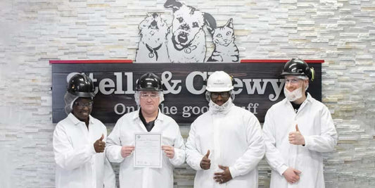 Stella and Chewy's crew with certification