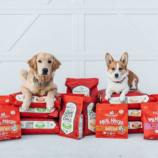 two dogs laying on assorted bags of food