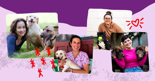 International Women's Day image featuring 4 women from the pet industry