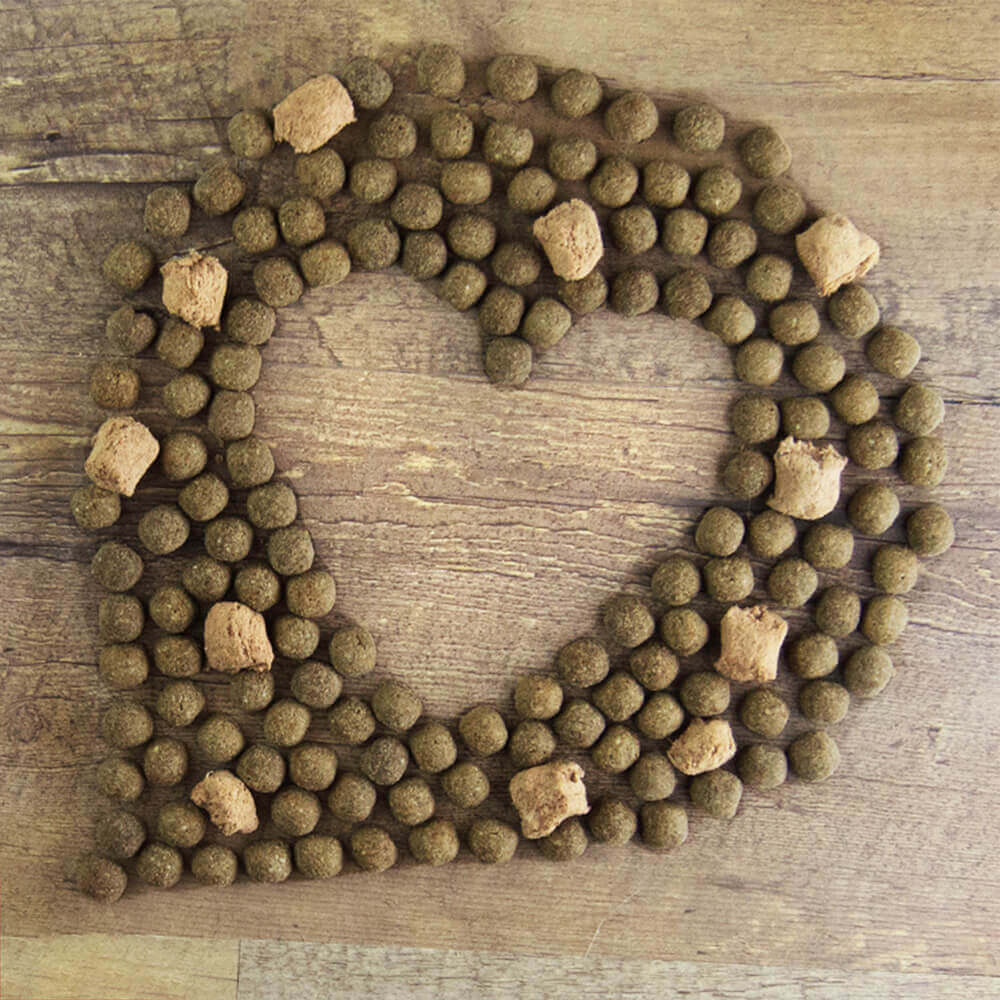 kibble shaped as a heart