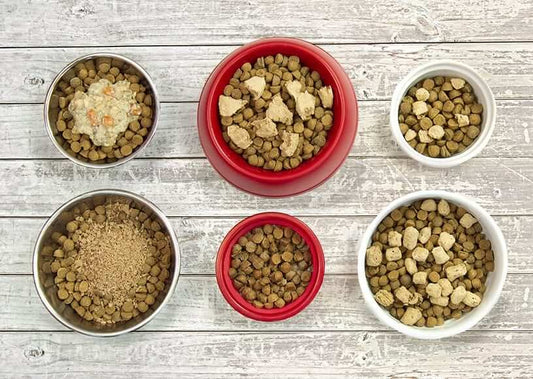 bowls of kibble with assorted meal toppers