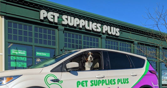 Pet Supplies Plus storefront