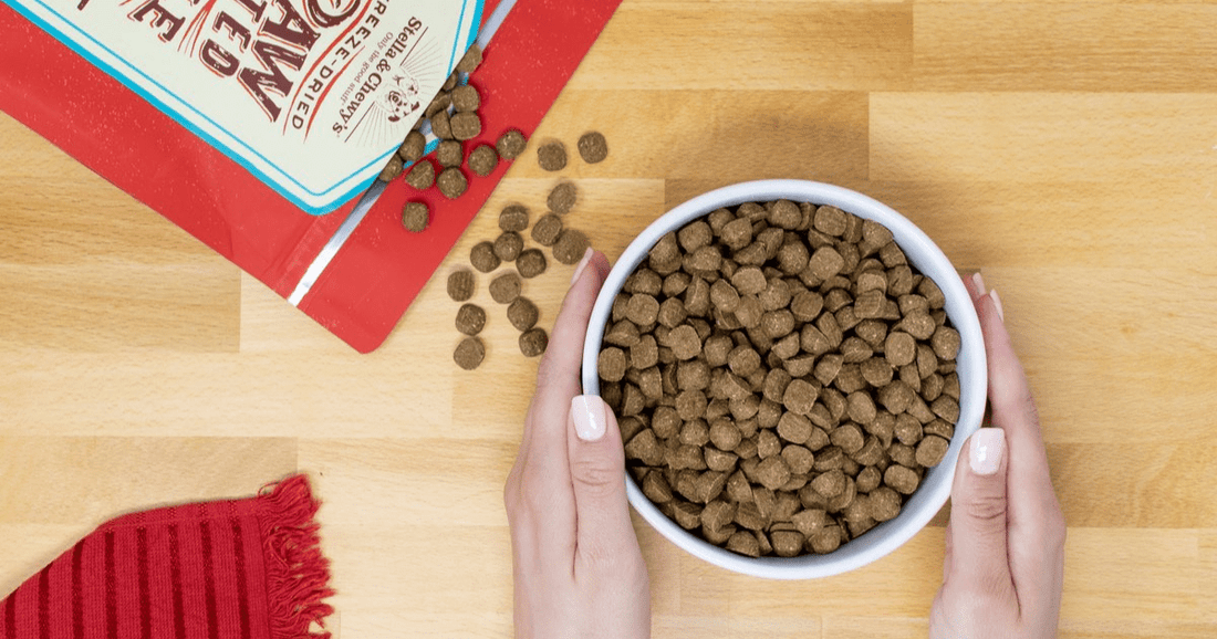 bowl of kibble with bag next to it