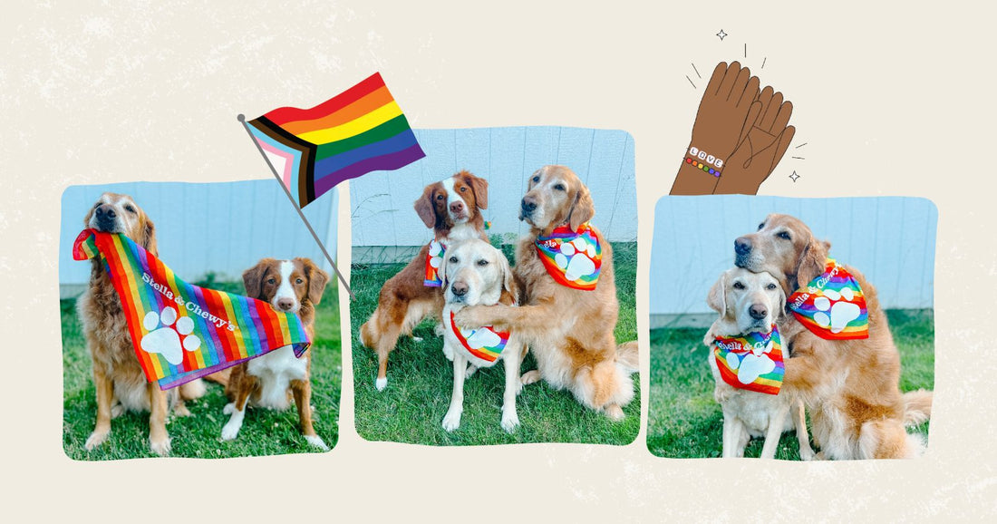 Pride Blog Header