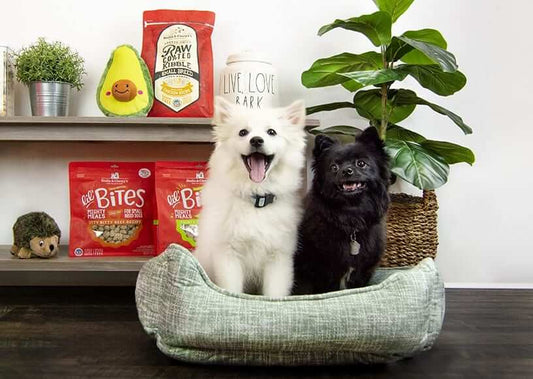 two dogs sitting in a dog bed