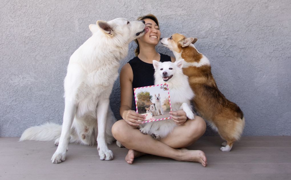 three dogs licking their dog mom