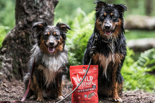 two dogs on a hike with bag of wild weenies