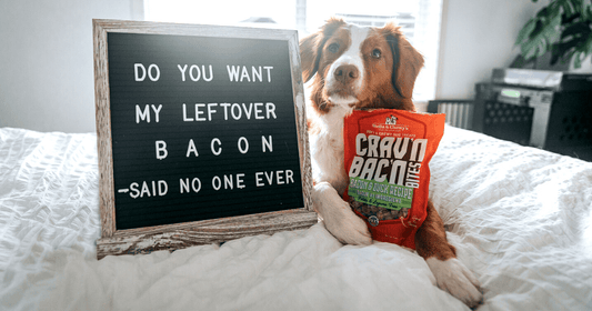 dog laying with crav'n bac'n treats and sign