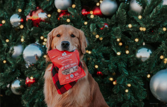 2023 dog gift guide