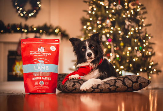 2024 Holiday Gift Guide For Dogs