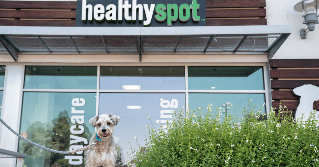 HealthySpot storefront