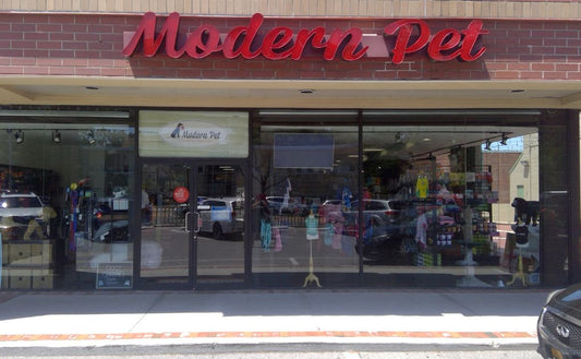 Modern Pet Pet Store