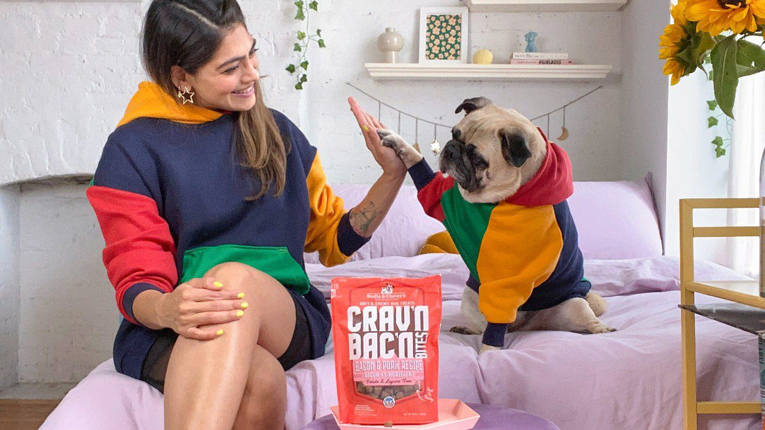 woman and pug wearing matching sweatshirts high fiving