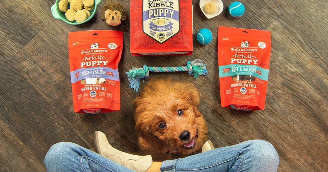 puppy surrounded by bags of food and toys