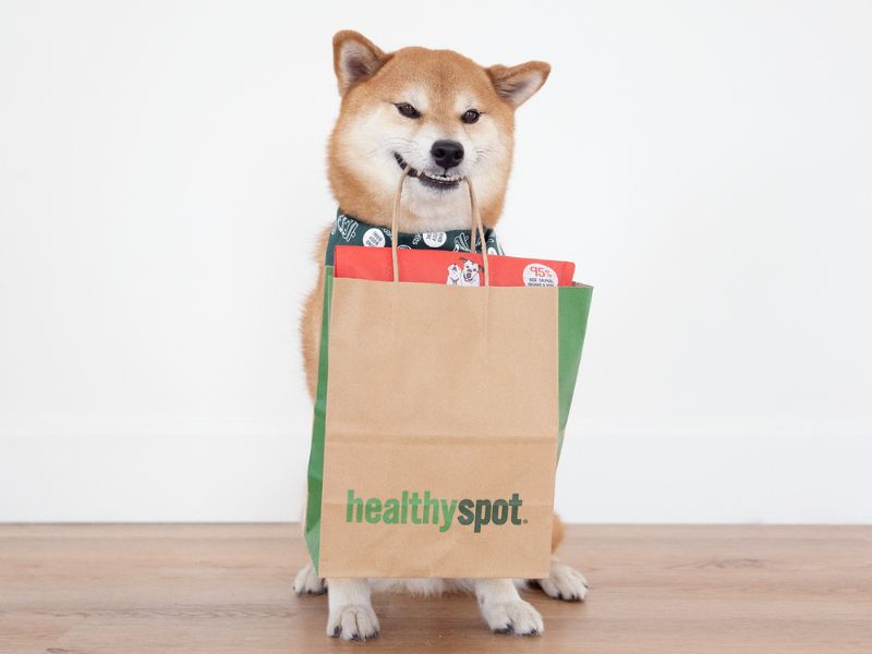 shiba inu holding shopping bag