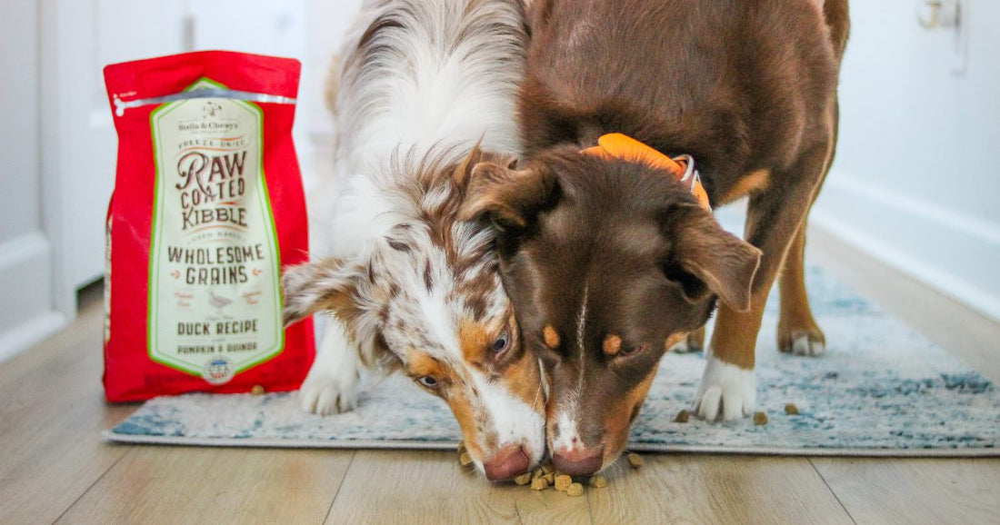 two dogs eating kibble