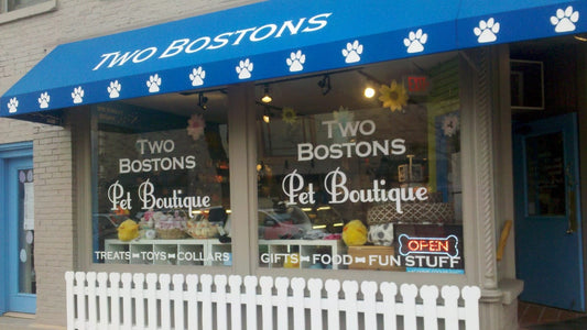 Two Bostons Pet Boutique storefront