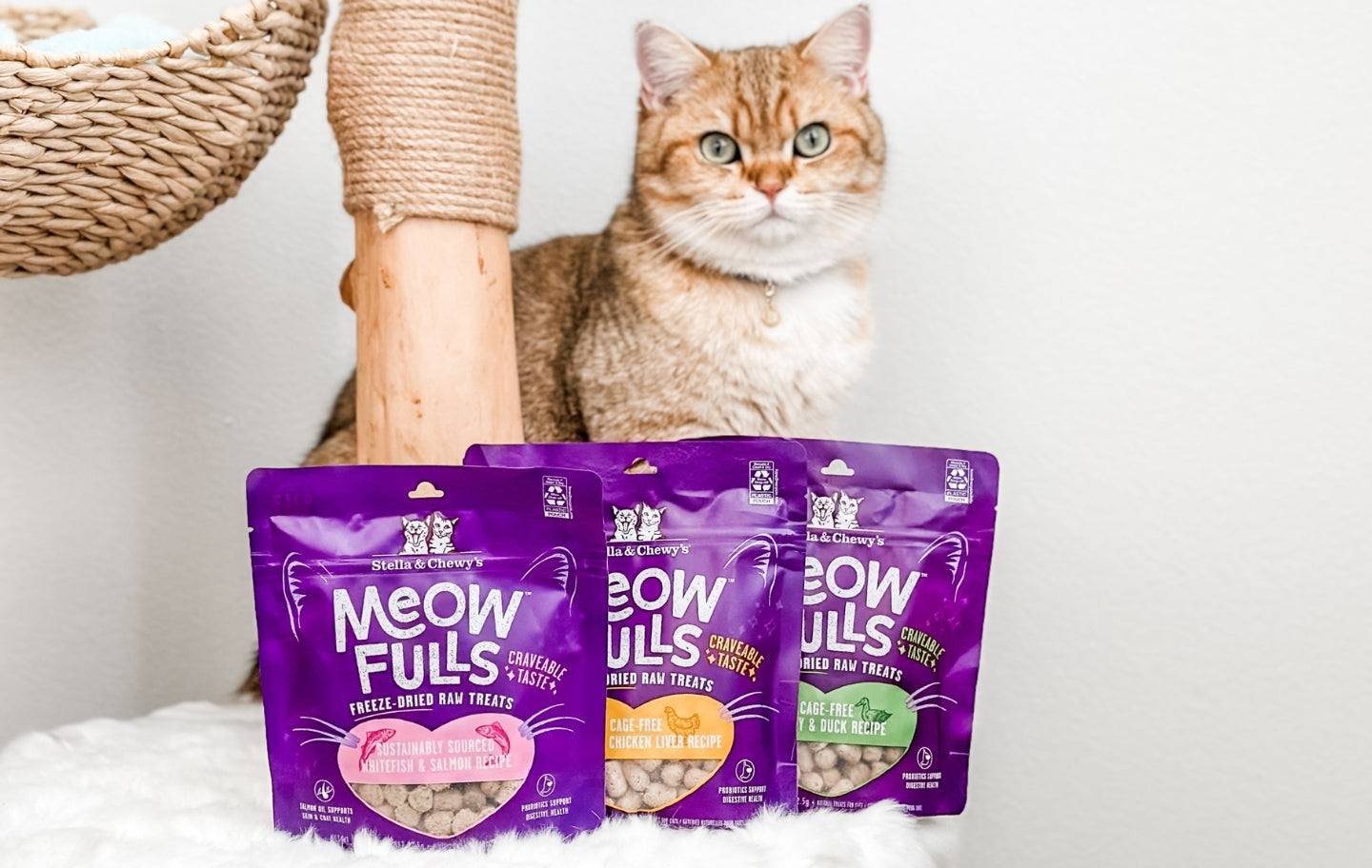 Meowfulls Freeze-Dried Cat Treats