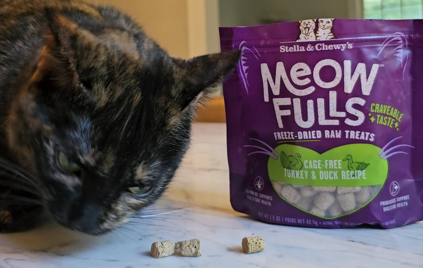 Freeze-Dried Raw Treats for Cats