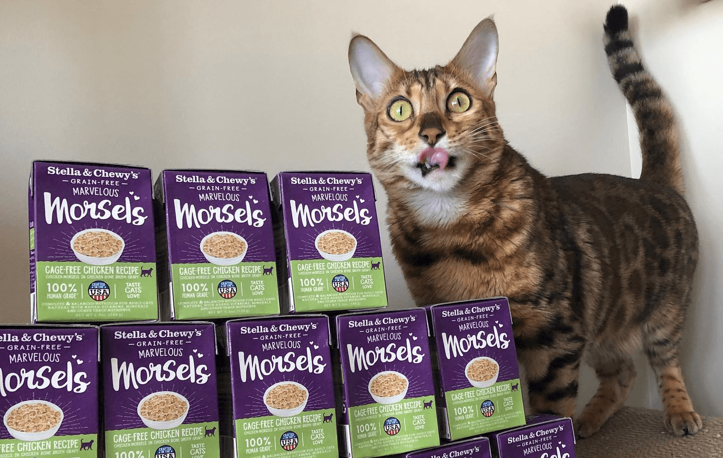 Wet Cat Food Morsels