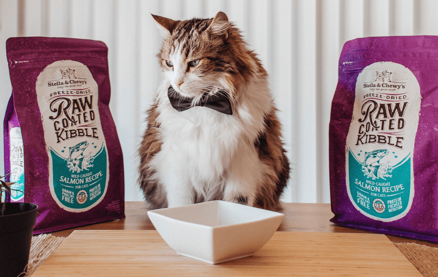 Raw Coated Kibble for Cats