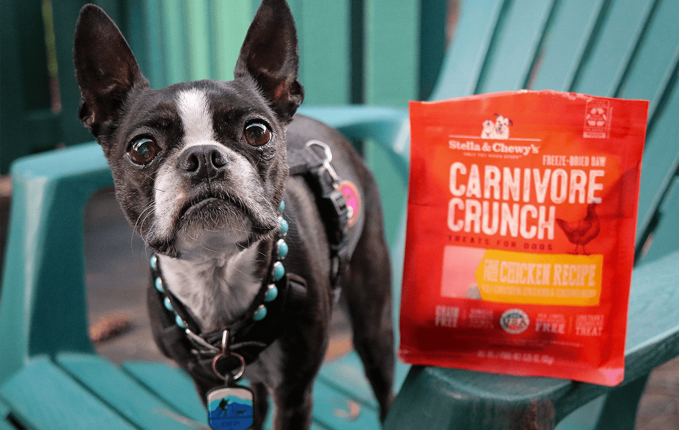 Freeze-Dried Raw Dog Treats