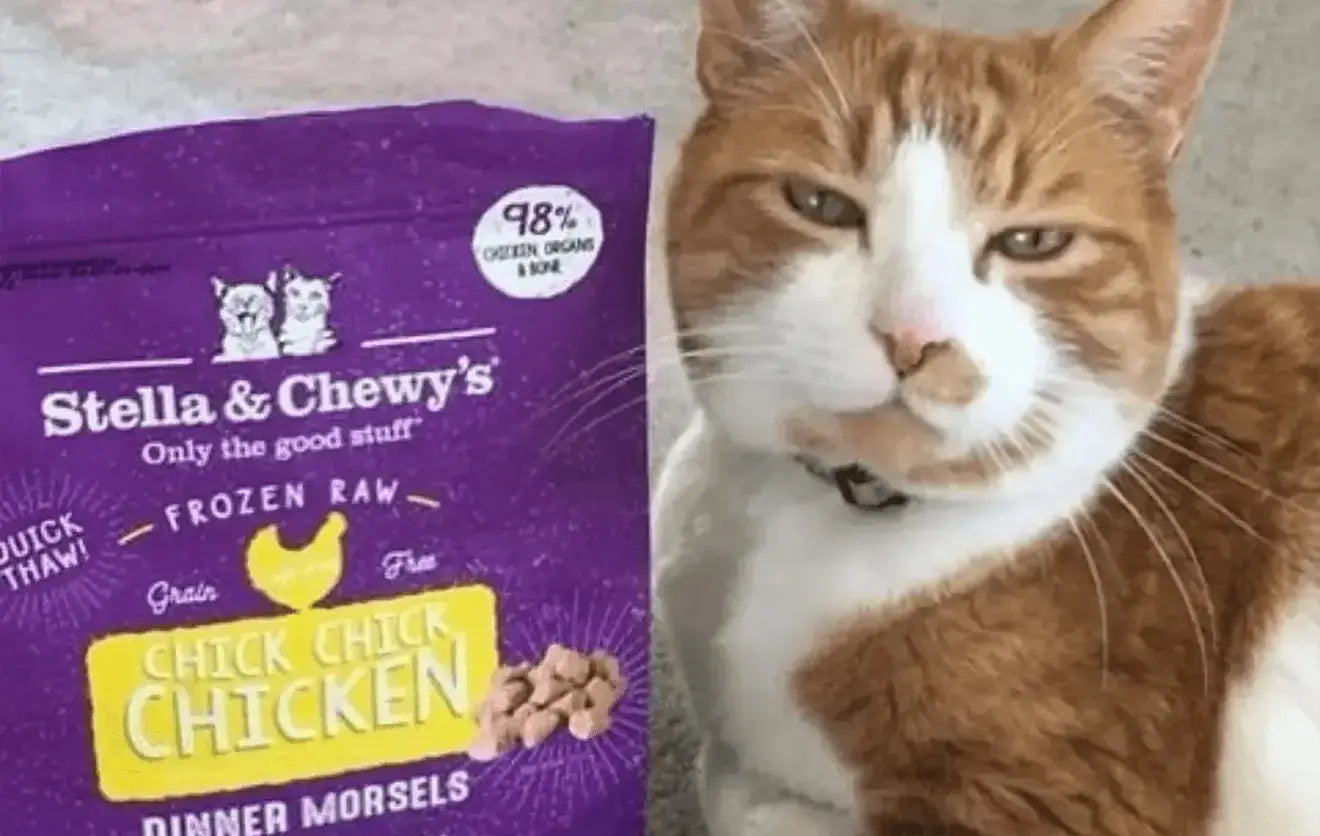 Frozen Raw Cat Food