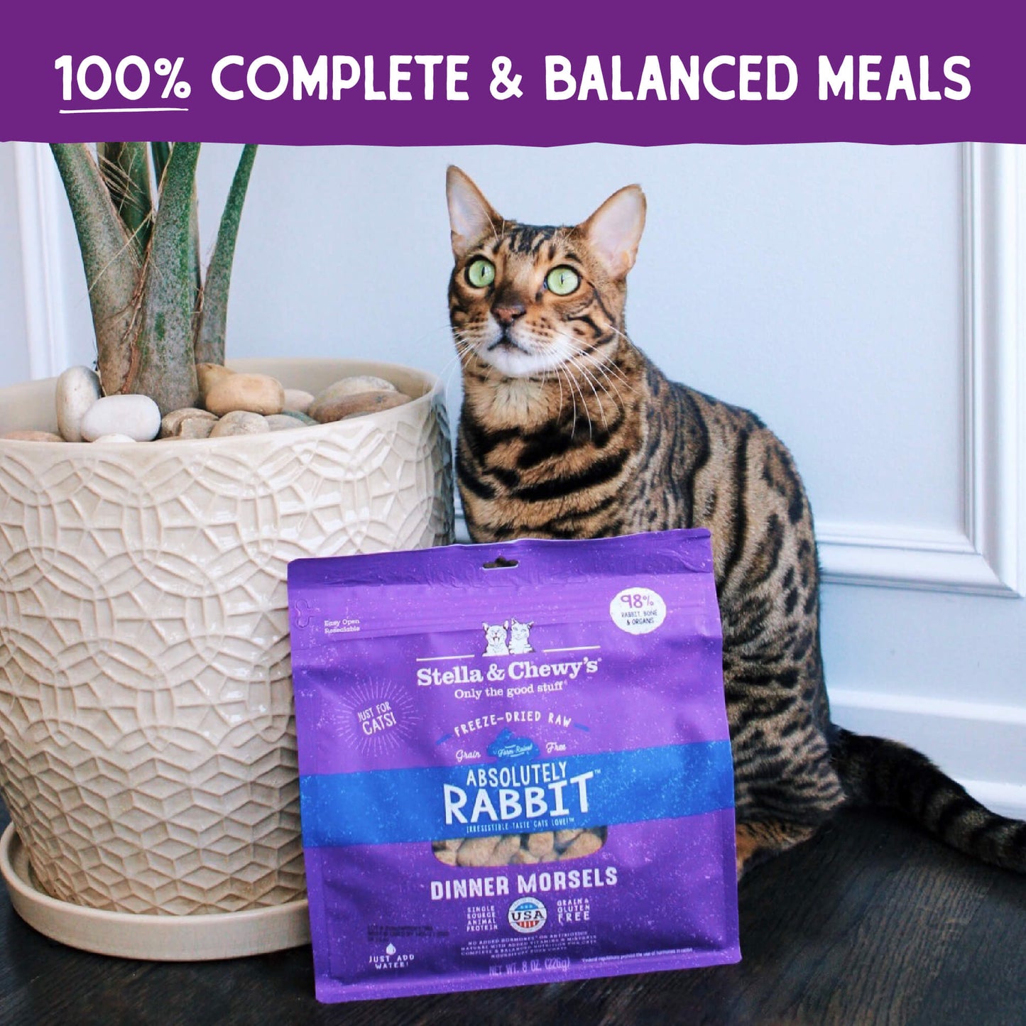 Absolutely Rabbit Freeze-Dried Raw Dinner Morsels