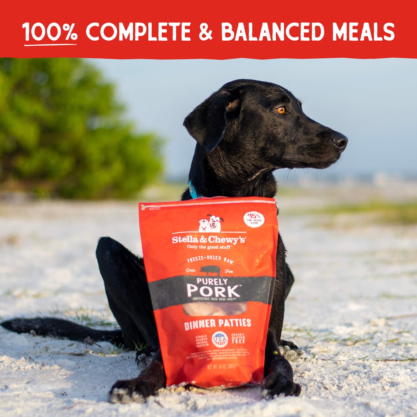 Purely Pork Freeze-Dried Raw Dinner Patties