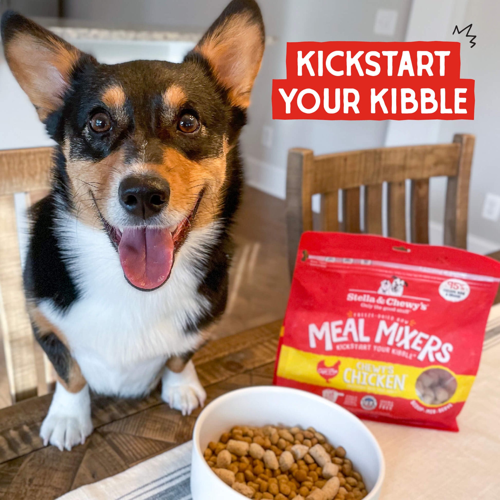 Kickstart your kibble | Freeze-Dried Raw Meal Mixers Chewy's Chicken