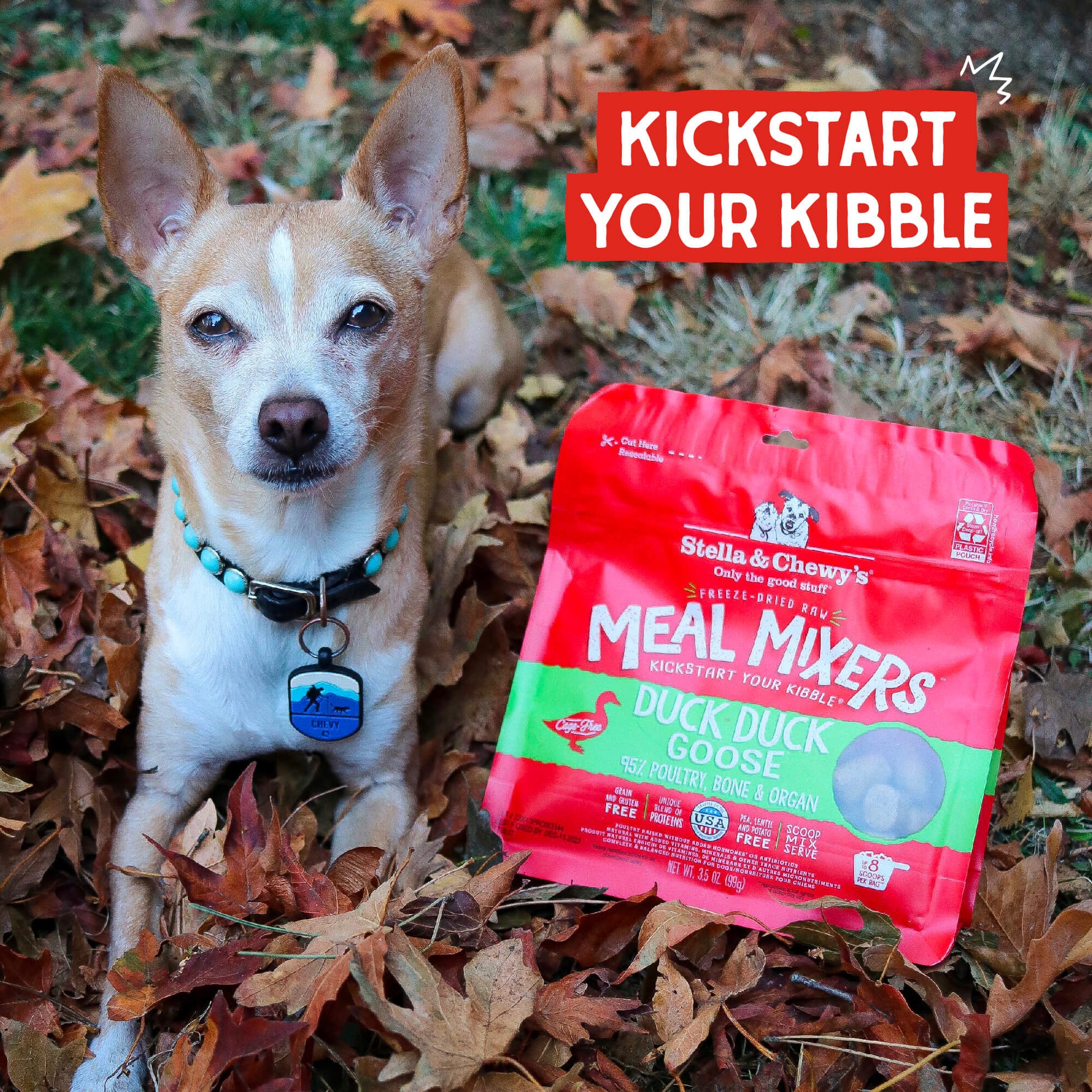 KICKSTART YOUR KIBBLE