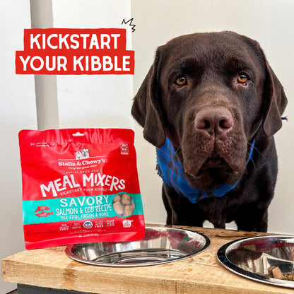 KICKSTART YOUR KIBBLE