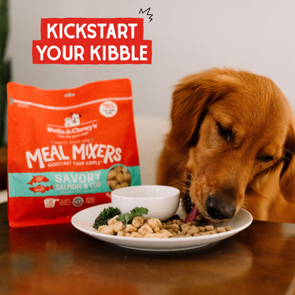 KICKSTART YOUR KIBBLE