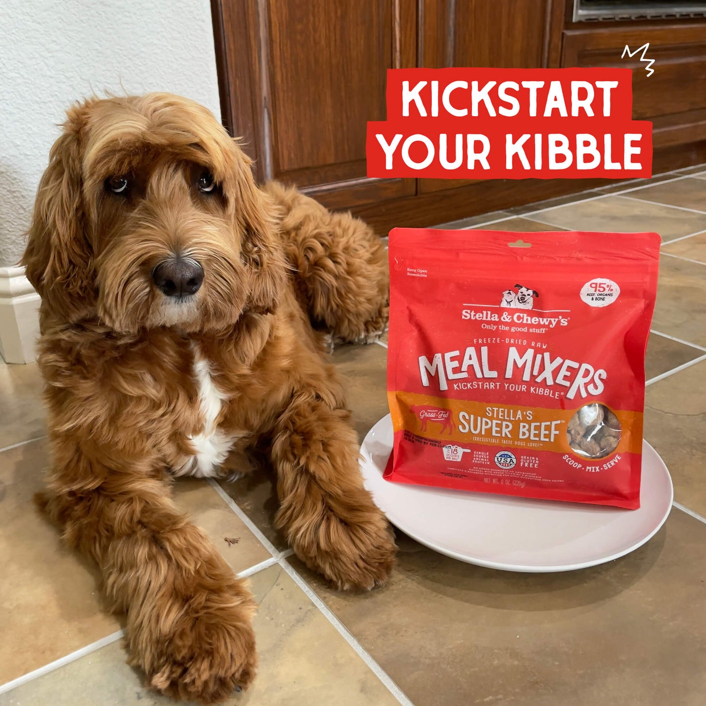 KICKSTART YOUR KIBBLE