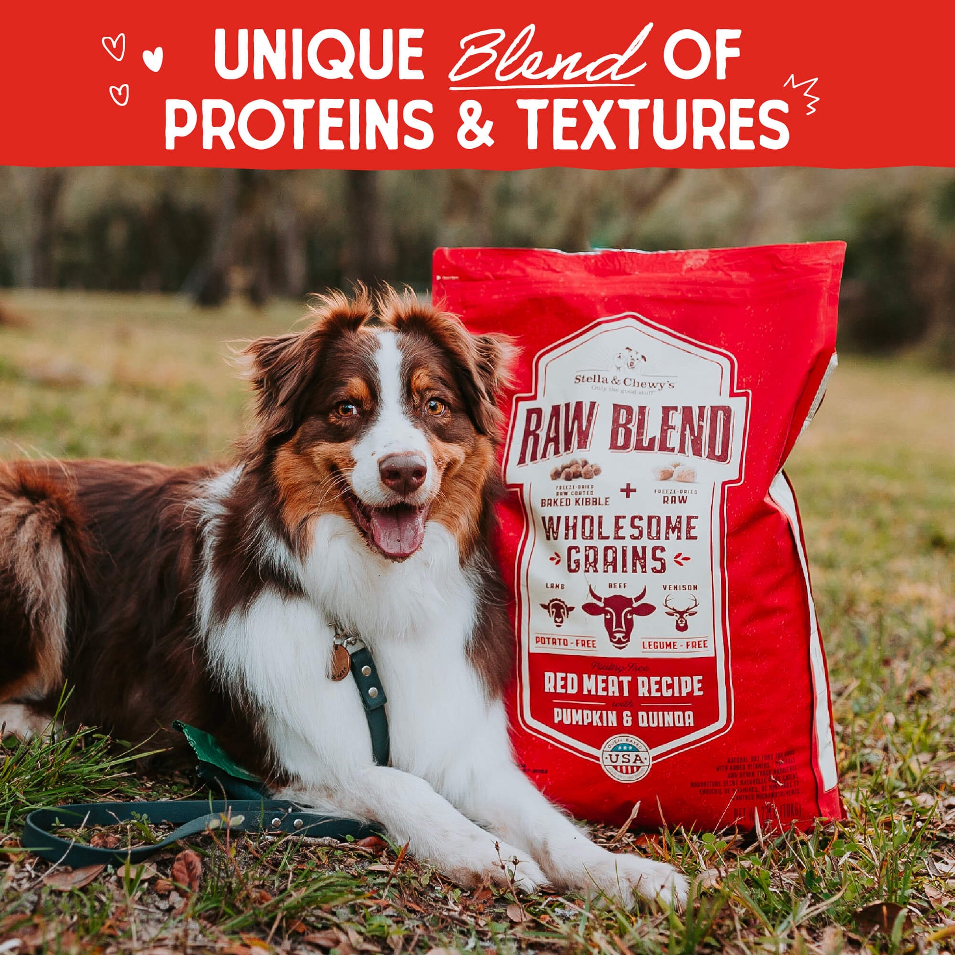 UNIQUE BLEND OF PROTEINS & TEXTURES 