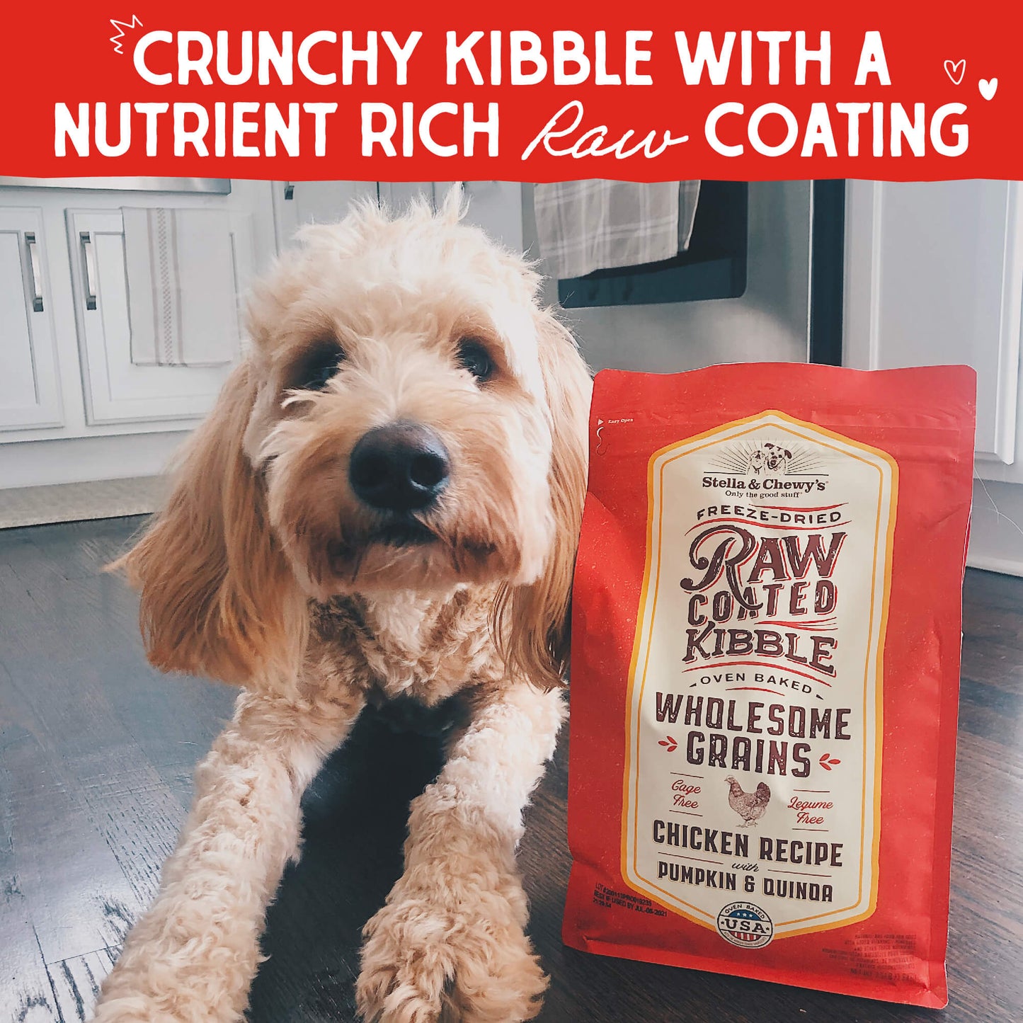 CRUNCH KIBBLE WITH A NUTRIENT RICH RAW COATING