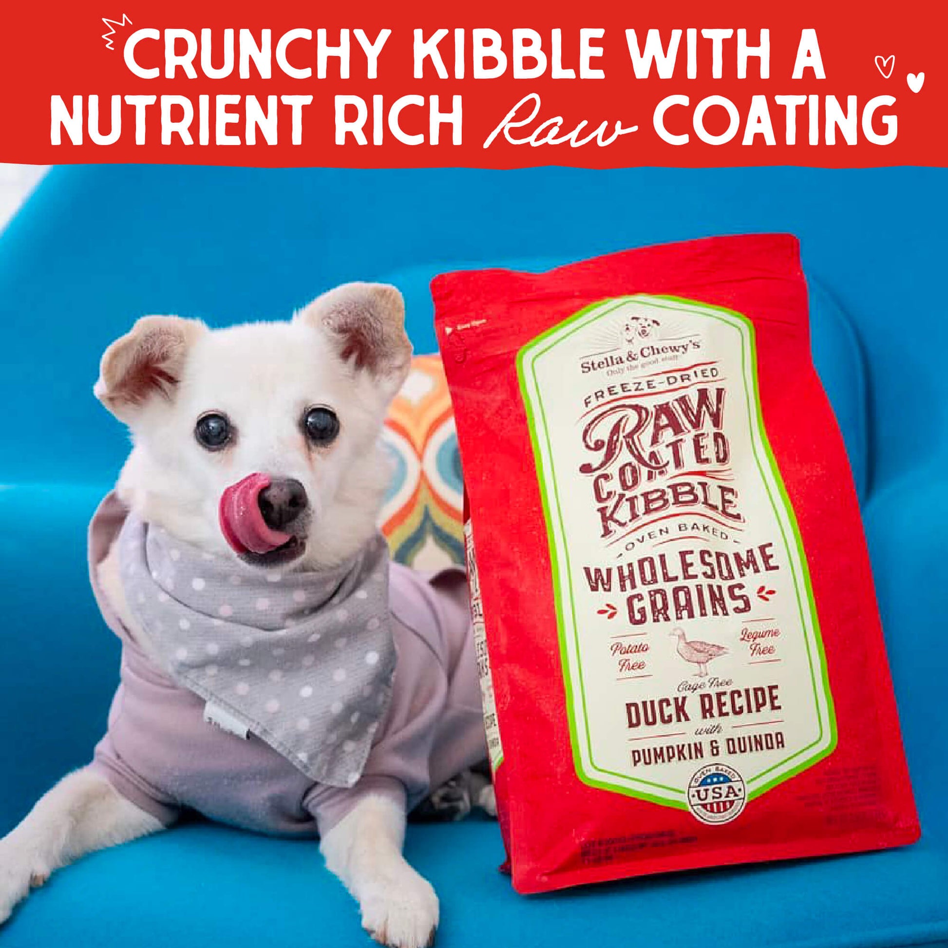 CRUNCHY KIBBLE WITH A NUTRIENT RICH RAW COATING 