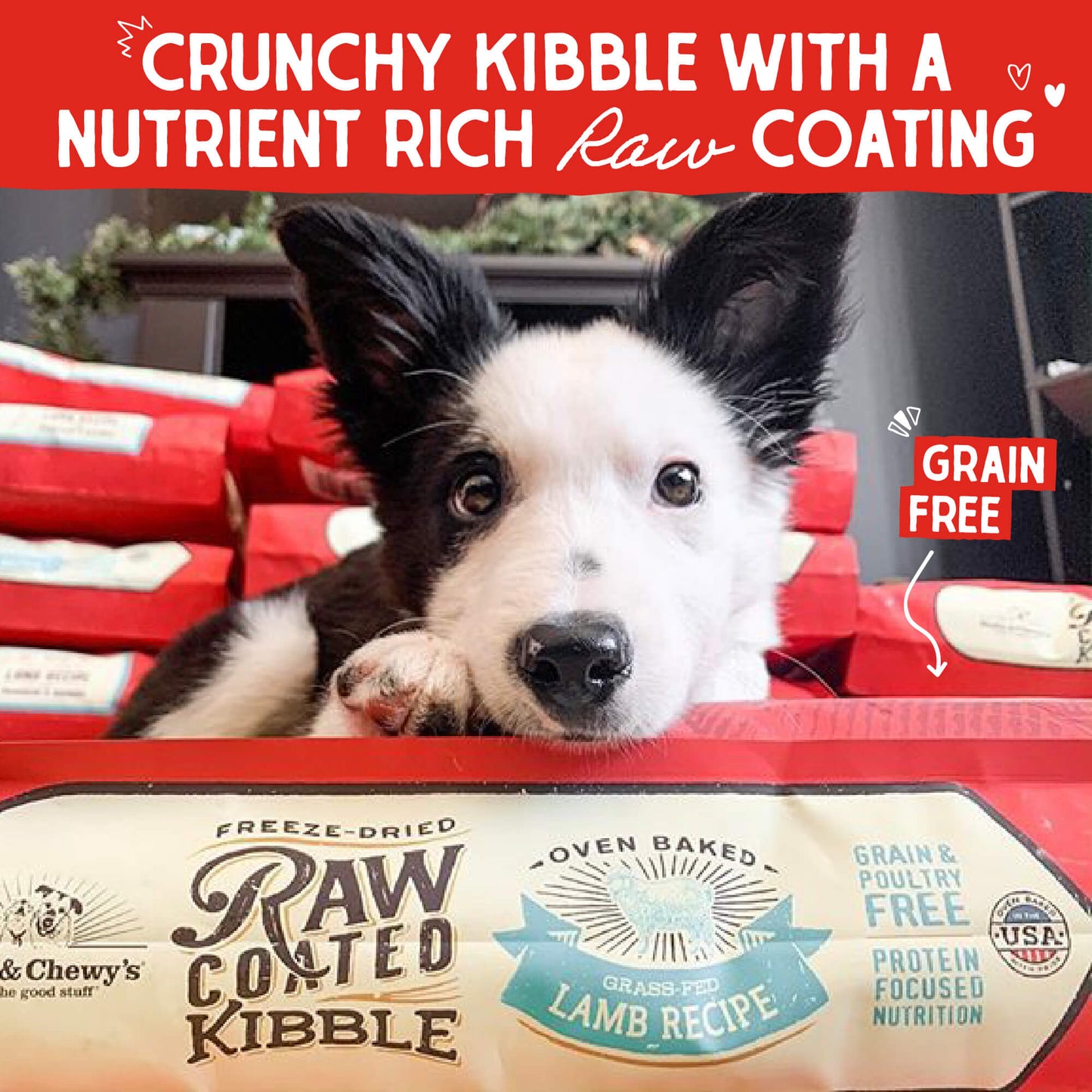 CRUNCH KIBBLE WITH A NUTRIENT RICH RAW COATING | GRAIN FREE