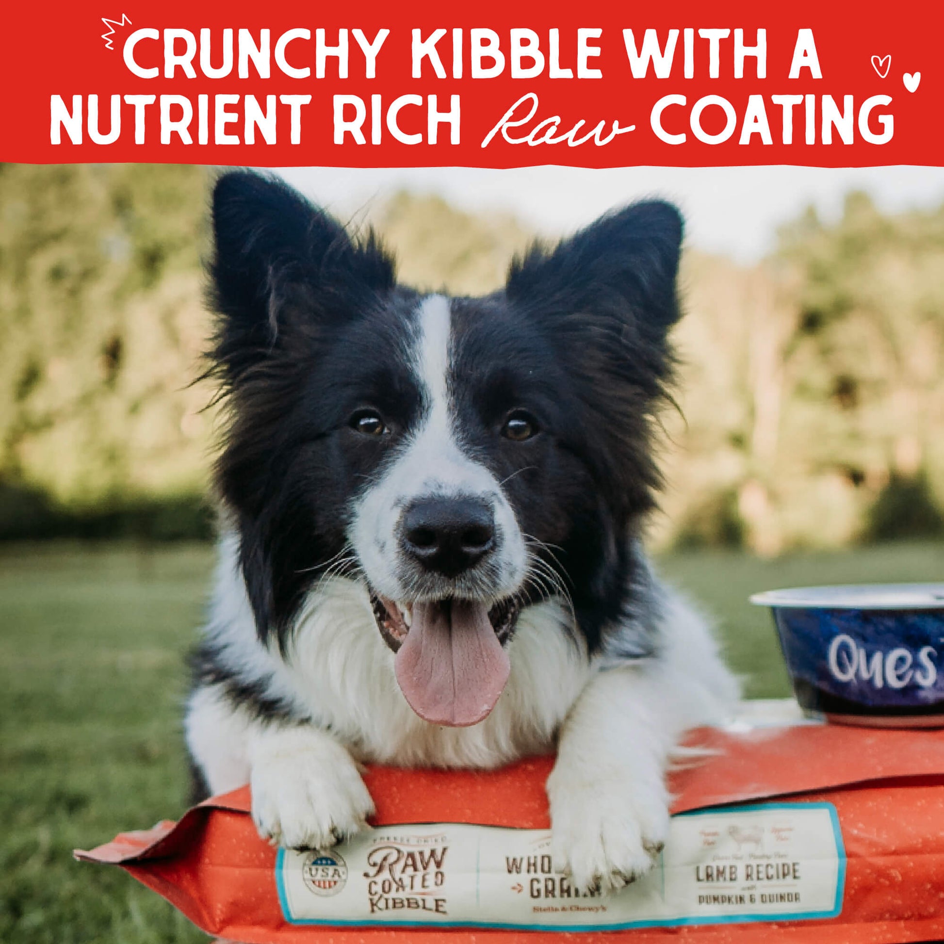 CRUNCH KIBBLE WITH A NUTRIENT RICH RAW COATING 