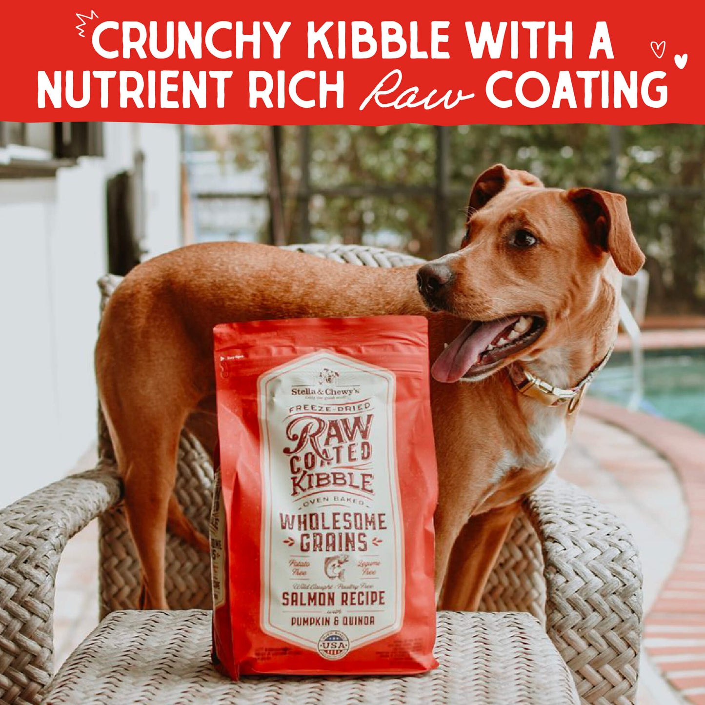 CRUNCH KIBBLE WITH A NUTRIENT RICH RAW COATING 