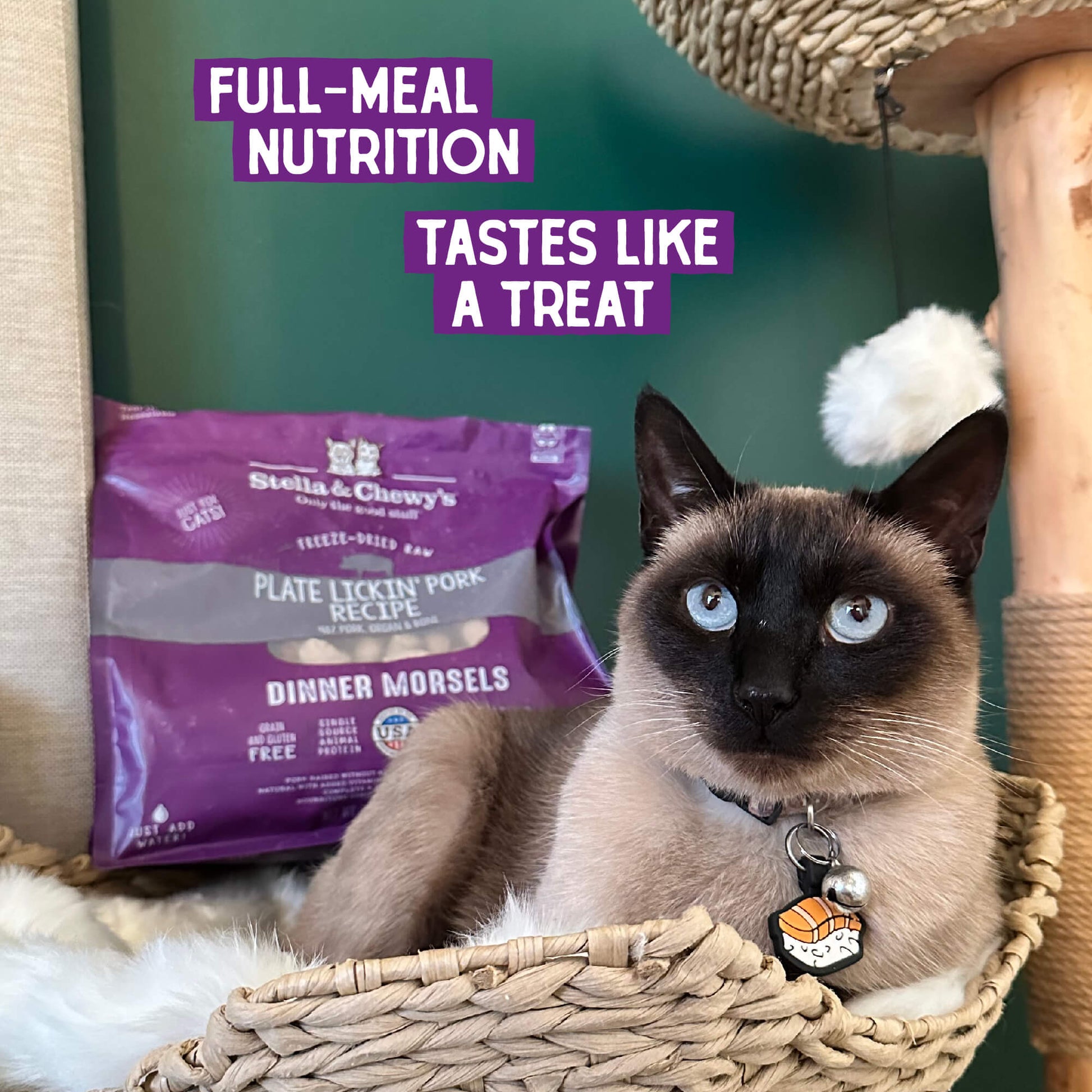 FULL-MEAL NUTRITION | TASTES LIKE A TREAT