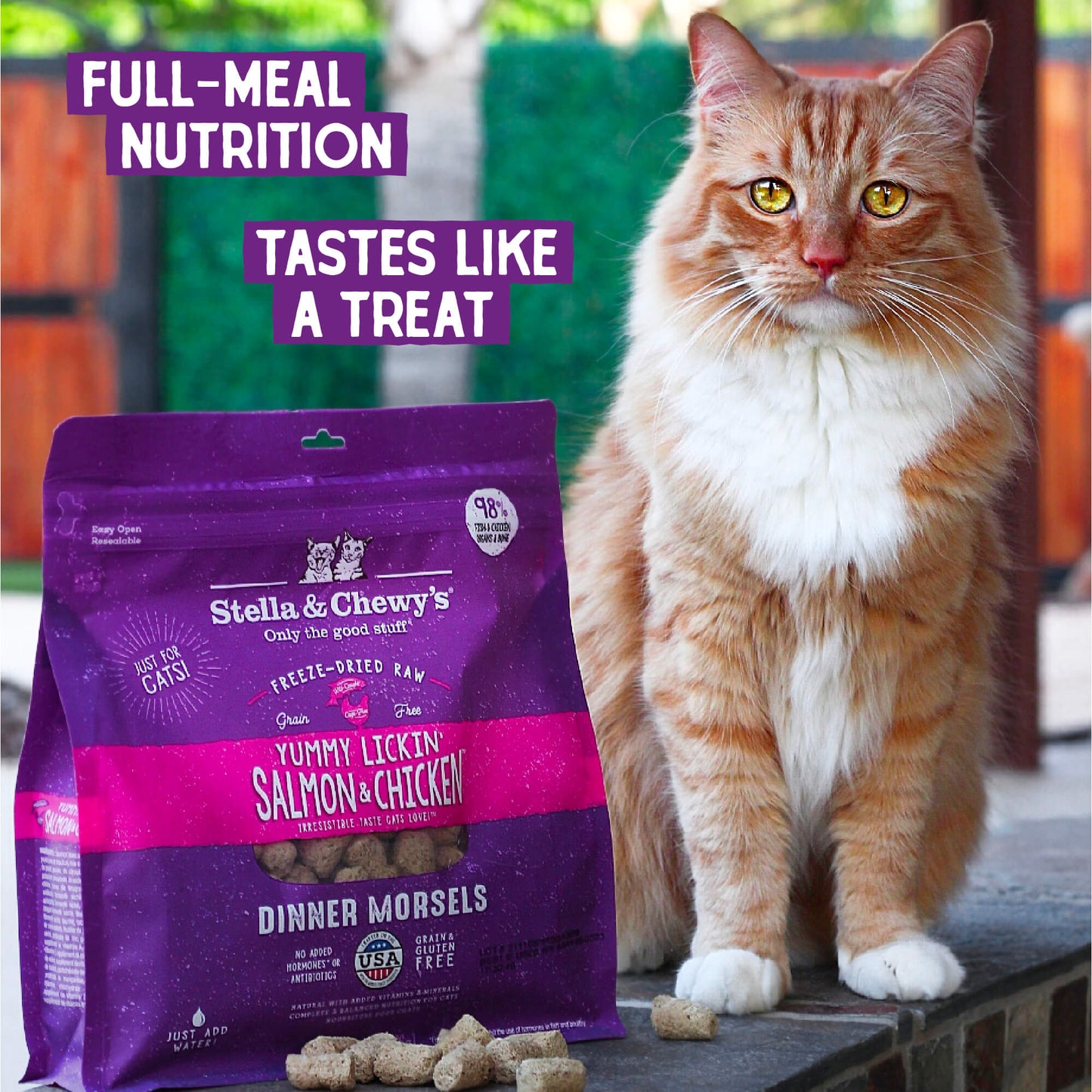 Yummy Lickin’ Salmon & Chicken Freeze-Dried Raw Dinner Morsels